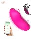 Bluetooth-Remote-Dildo-Vibrator