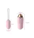 Aiersha Duo Secret Vibrator - Remote Control for Ultimate Pleasure