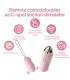 Aiersha Duo Secret Vibrator - Remote Control for Ultimate Pleasure
