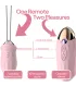 Aiersha Duo Secret Vibrator - Remote Control for Ultimate Pleasure