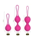 Aiersha Bolas de Amor rosa: Set Kegel 3 Piezas con Control Remoto Vibrante