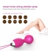 Aiersha Core Balls Rose Red – 10-Mode Vibrating Kegel Exerciser