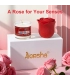 Aiersha Rose Luxus Geschenkbox - Verführung neu definiert!