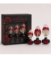Aiersha Rosebud - Premium Anal-Plug-Set für sinnliche Entdeckung