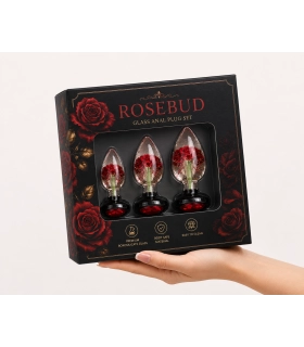 Aiersha Rosebud - Juego de Tapones Anal de Resina Premium