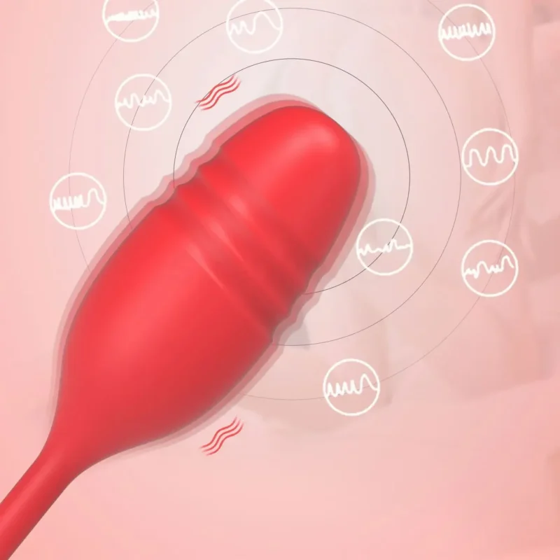 2 IN 1 Sex Toys Vibrator for Women - Image 3